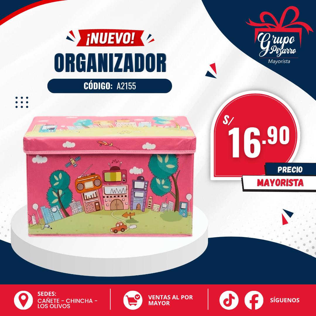CAJA ORGANIZADORA 552