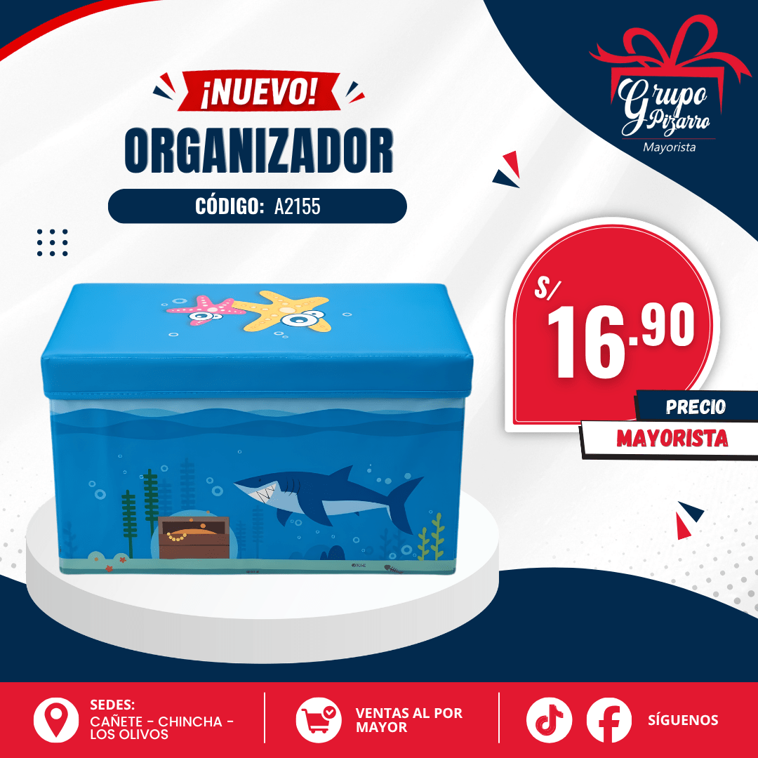 CAJA ORGANIZADORA 553