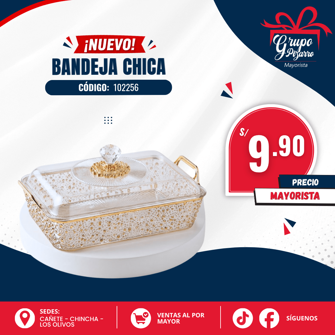 BANDEJA  ACRILICO MEDIANO1