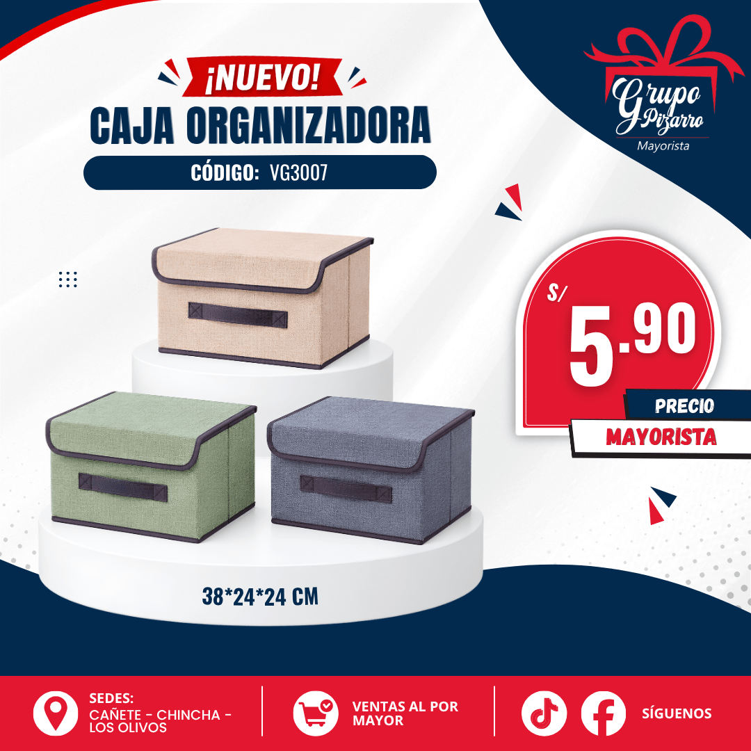 CAJA ORGANIZADORA1