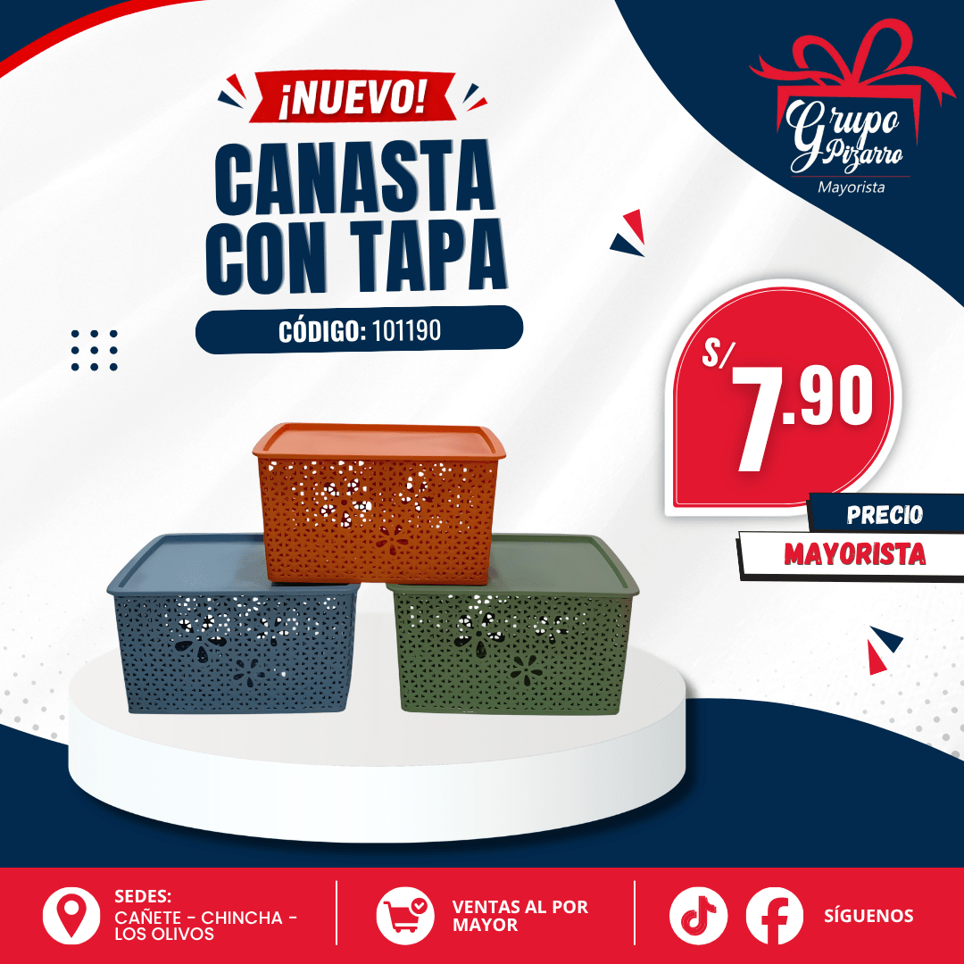 CANASTA PLAST1