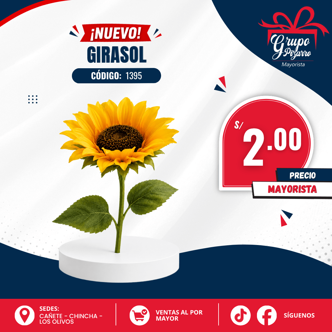 GIRASOL CHICO UNIDAD1