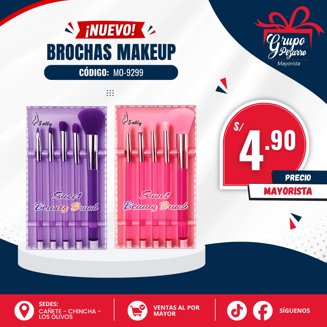 SET DE BROCHAS FEY2