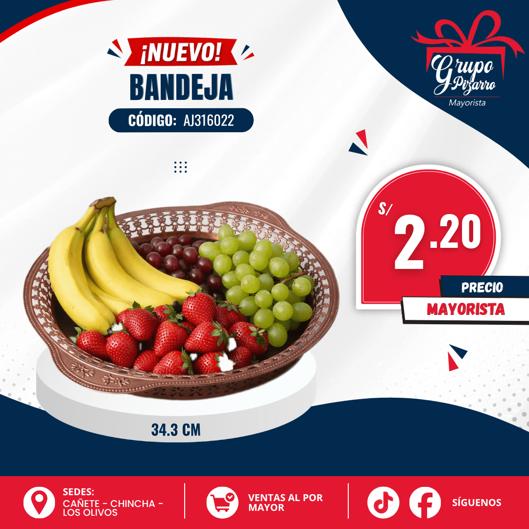 BANDEJA AJ3160221