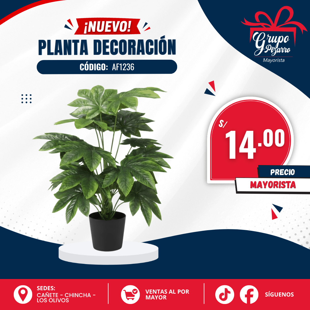 PLANTA AF12362
