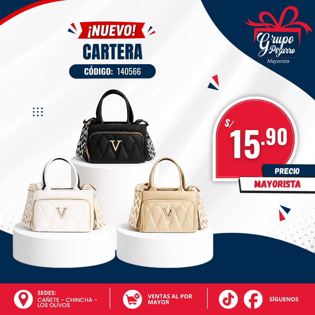 CARTERA YAN2