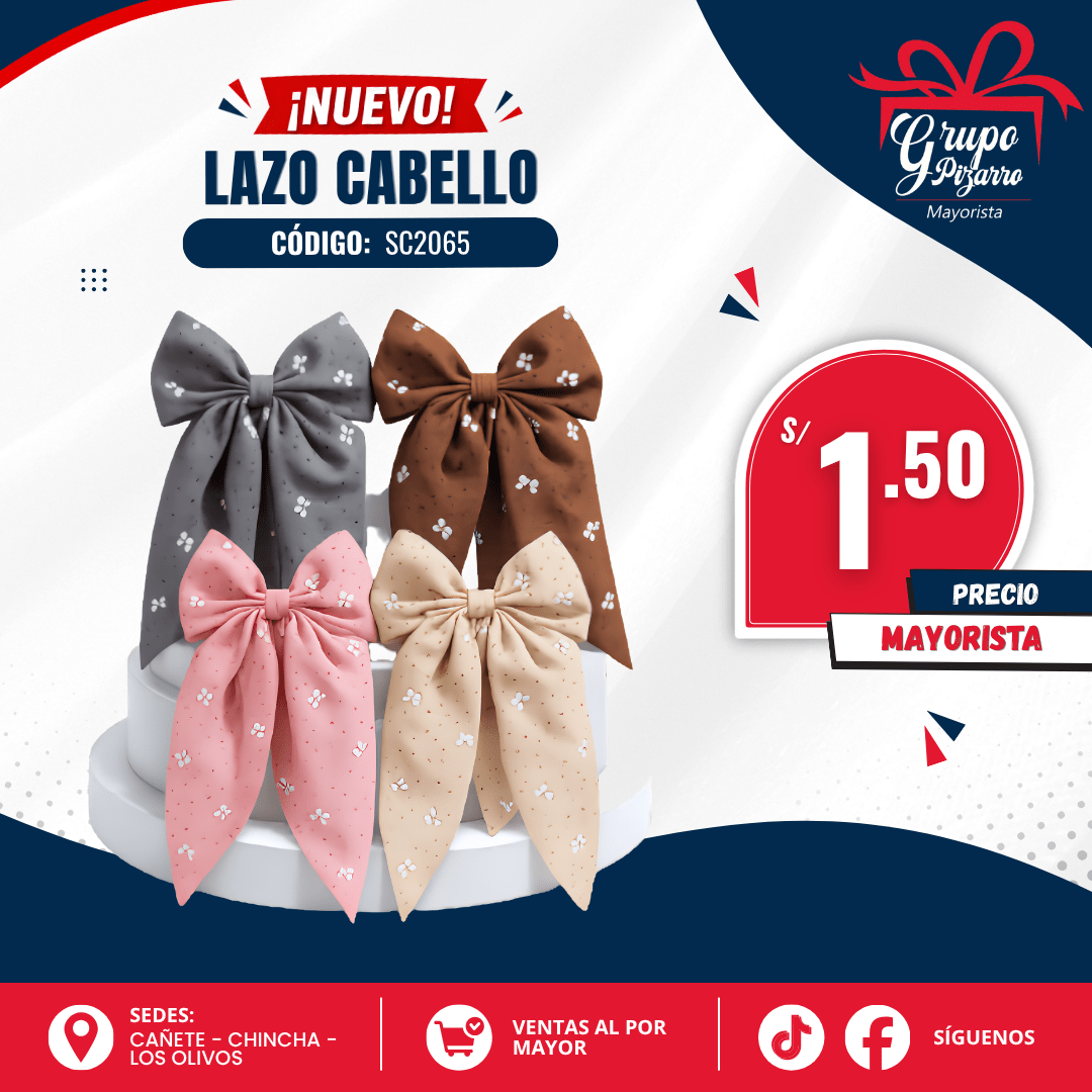 GANCHO CABELLO SC20651