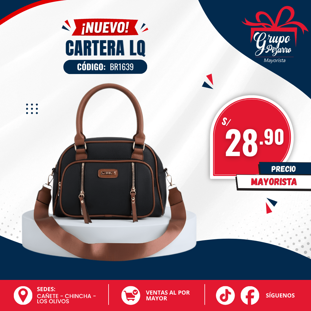 CARTERA BR16393