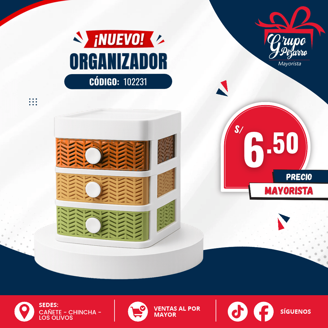 ORGANIZADOR 1022311