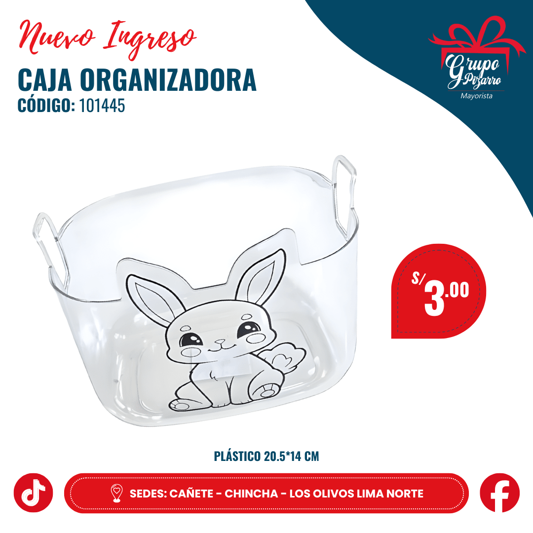 ORGANIZADOR CONEJITO1