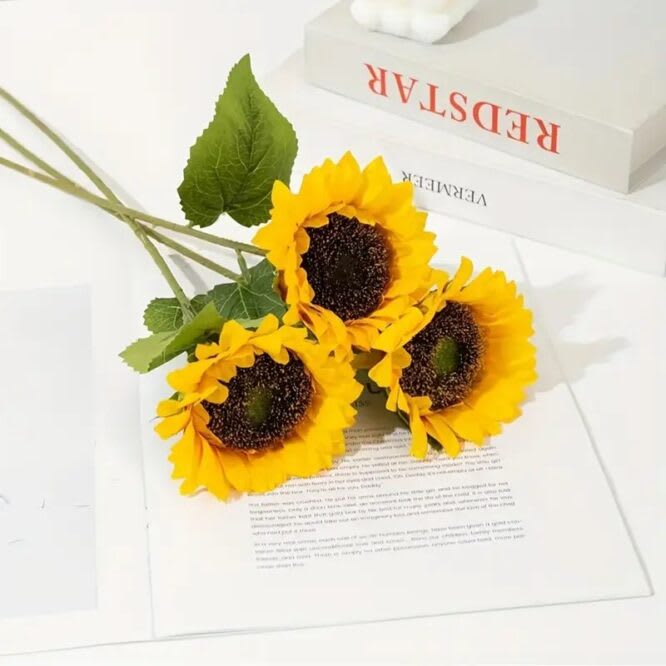 GIRASOL CHICO UNIDAD2