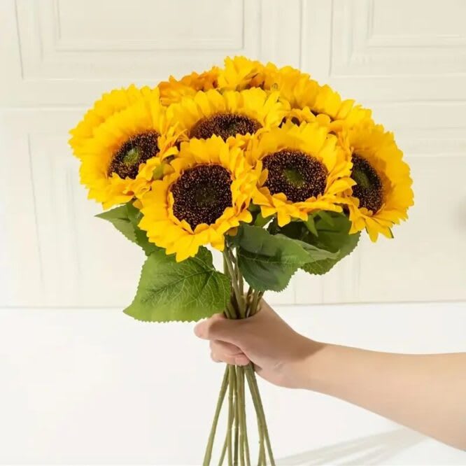 GIRASOL CHICO UNIDAD1