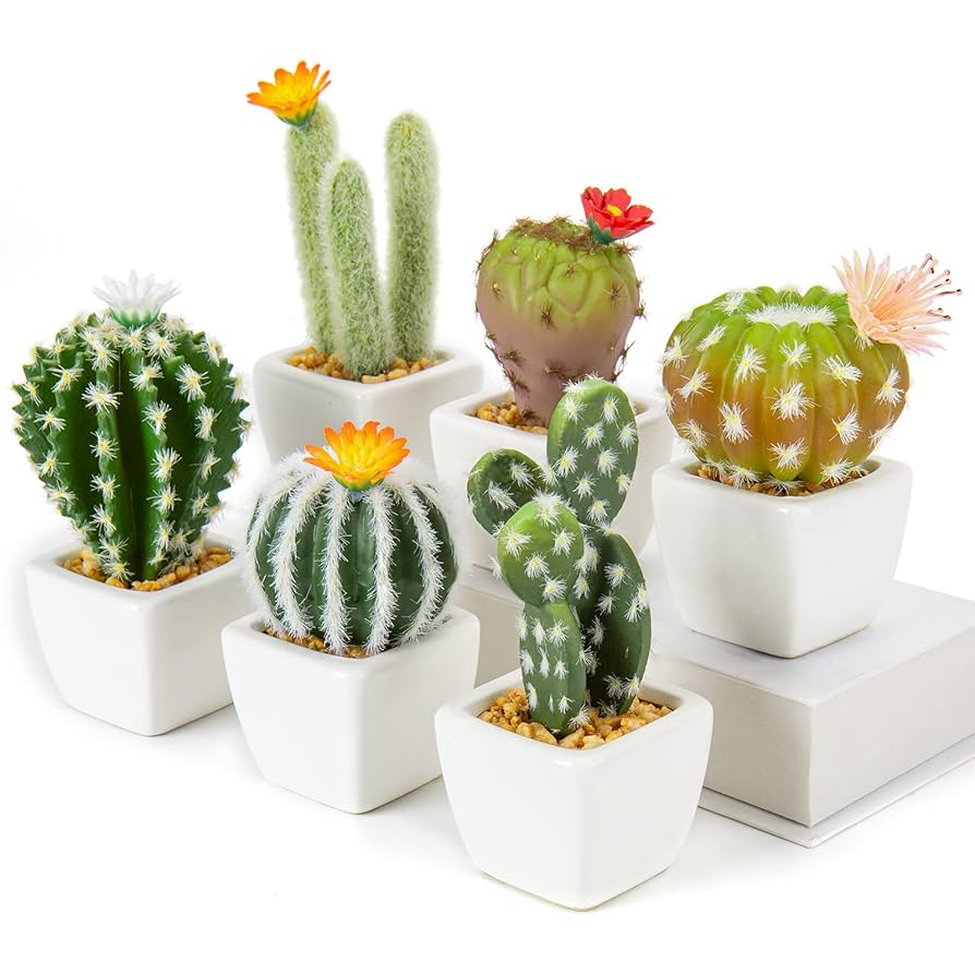 ADORNO CACTUS PLANTA1