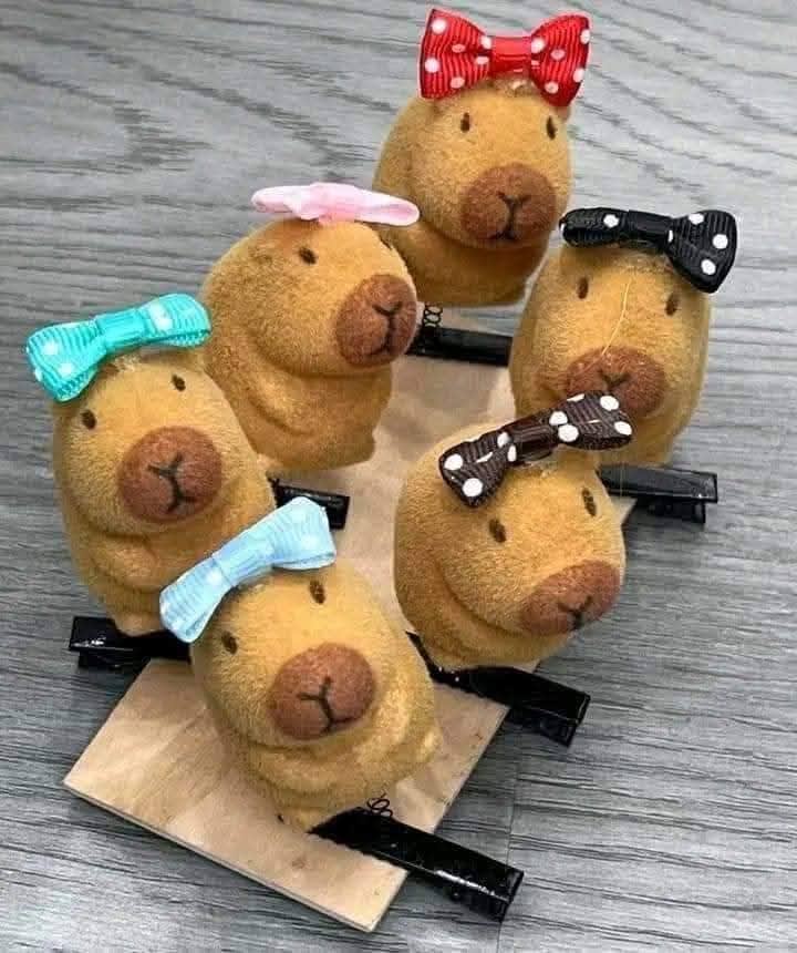 GANCHITO CAPYBARA1