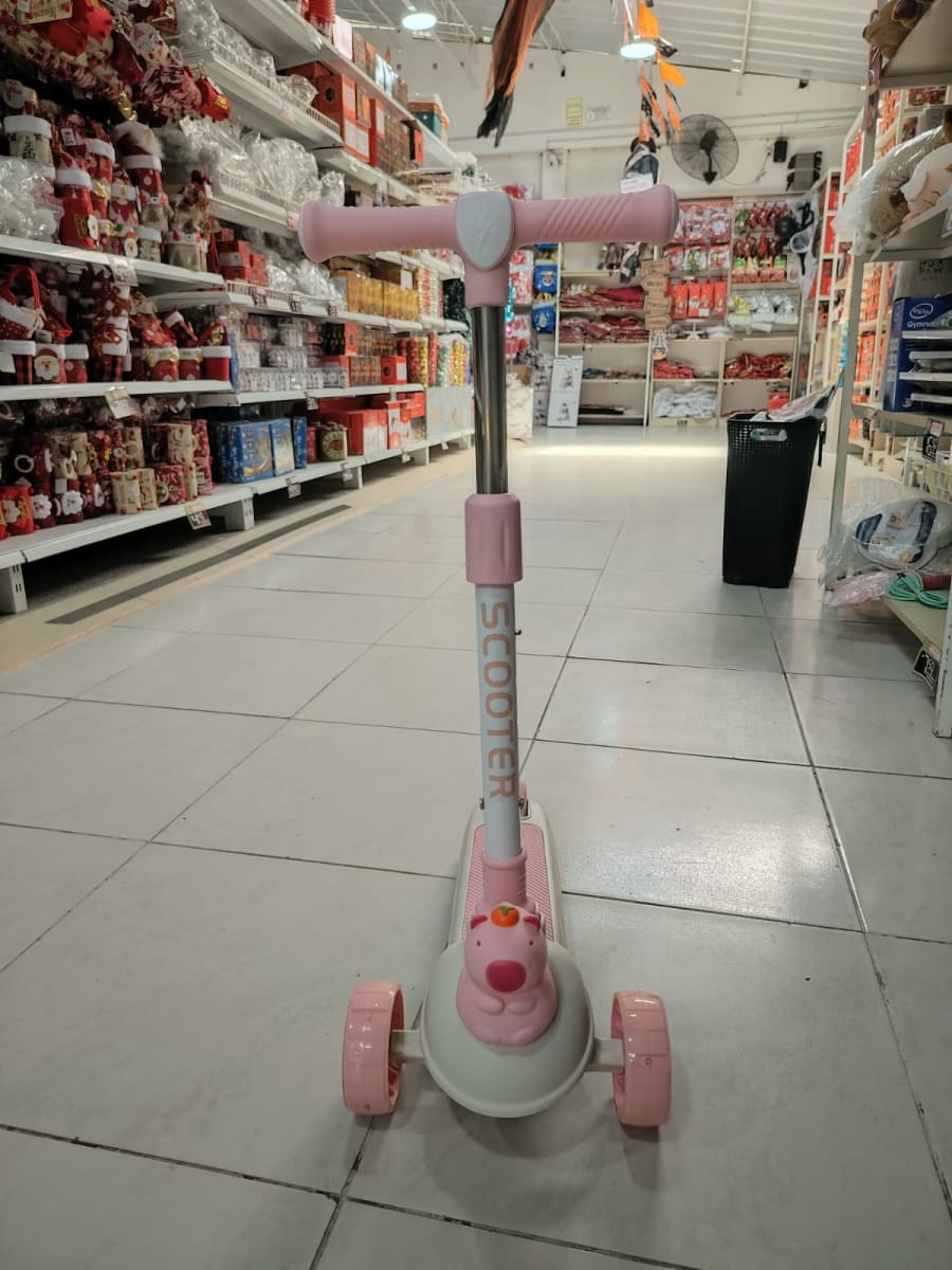 SCOOTER  DEARMADO1