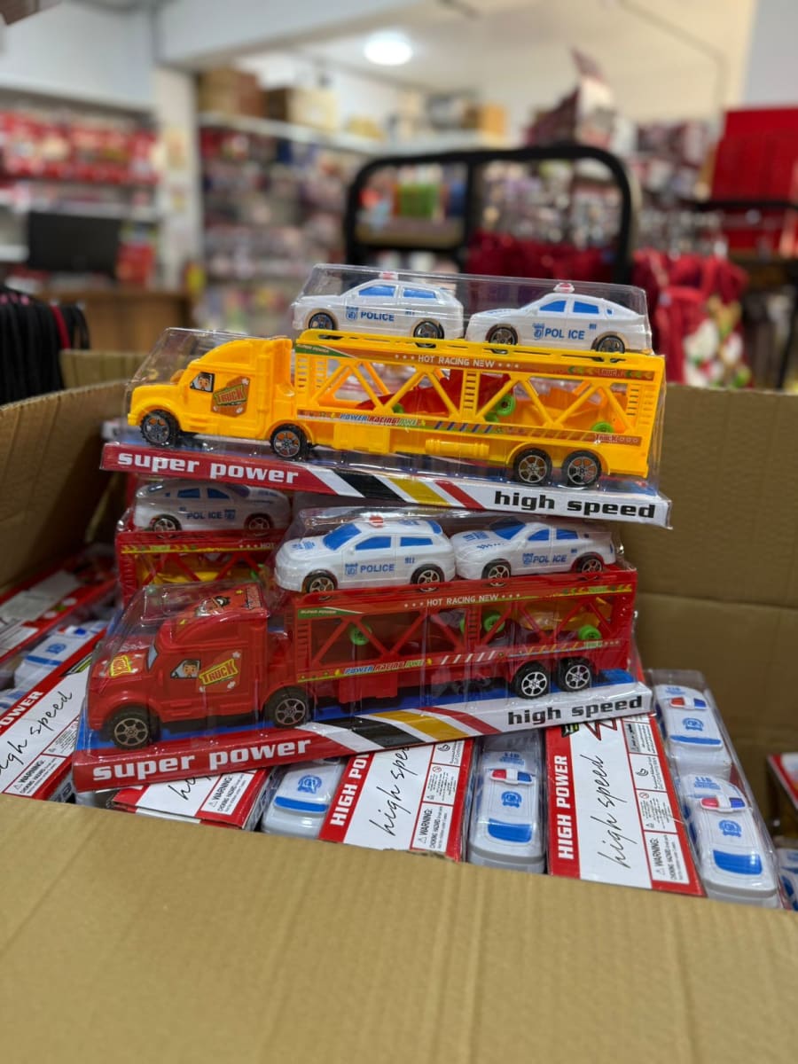 CAMION TRANSPORTADOR1