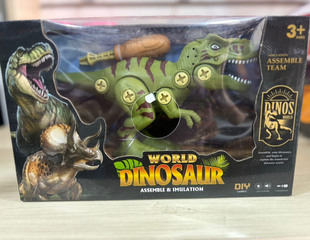 DINO DIDACTICO EN CAJA1