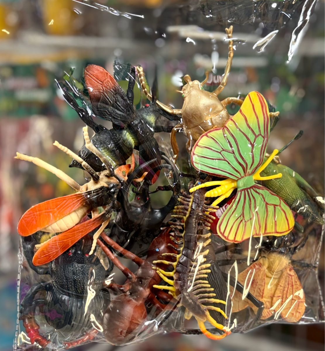 SET DE INSECTOS1