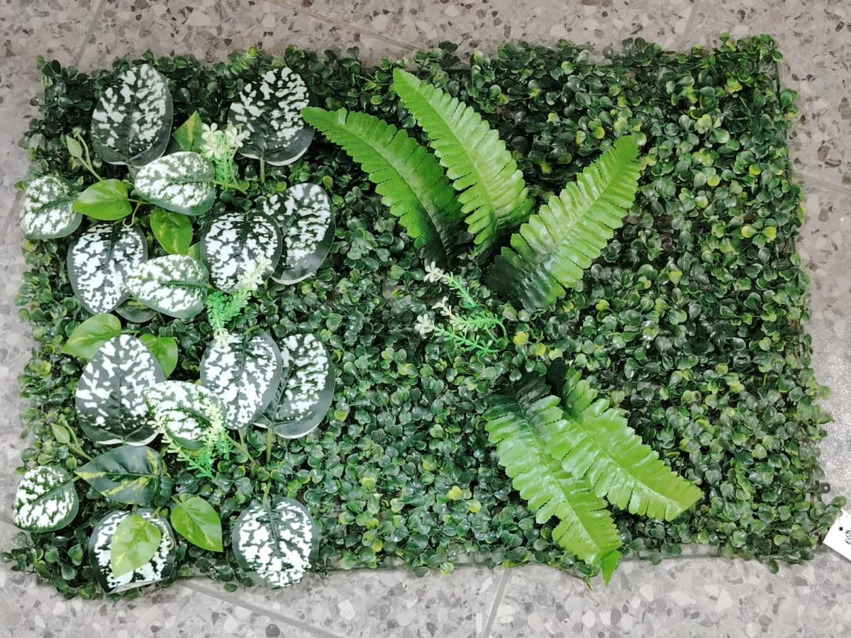 DECO. PLANTA CUADRO1