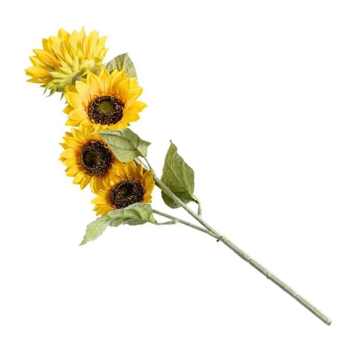 GIRASOL 17CM1