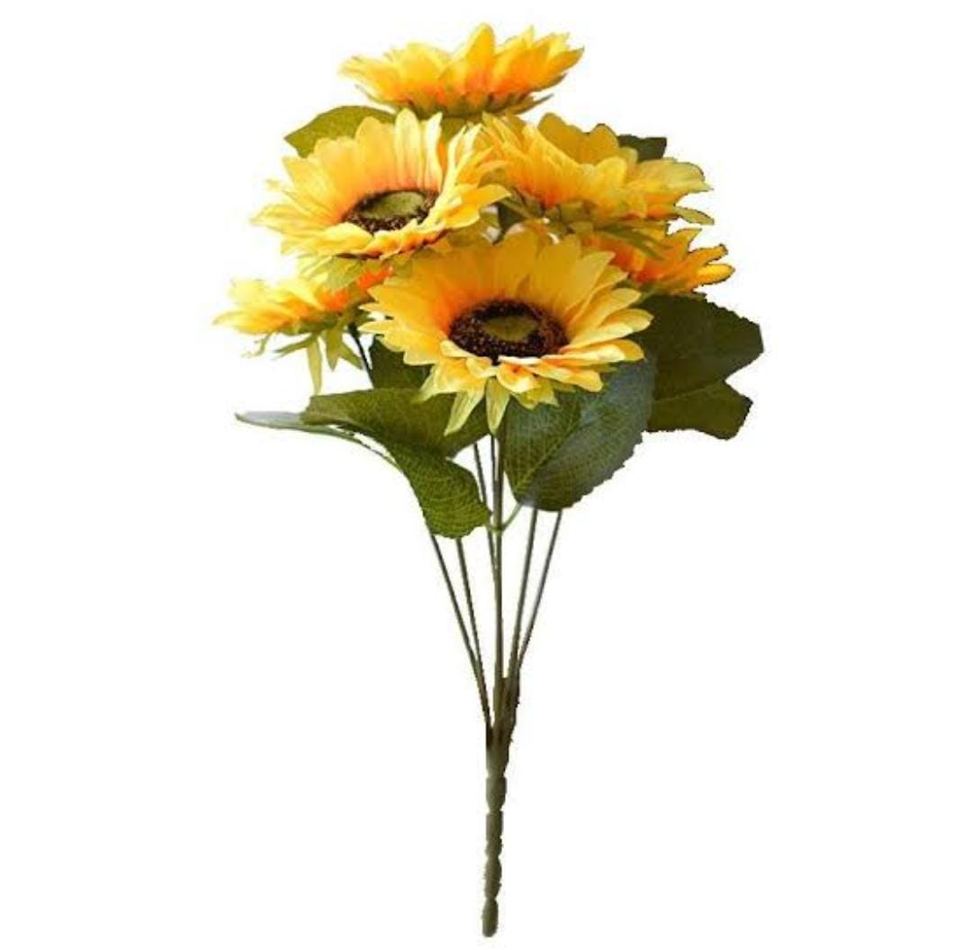 GIRASOL 15CM1
