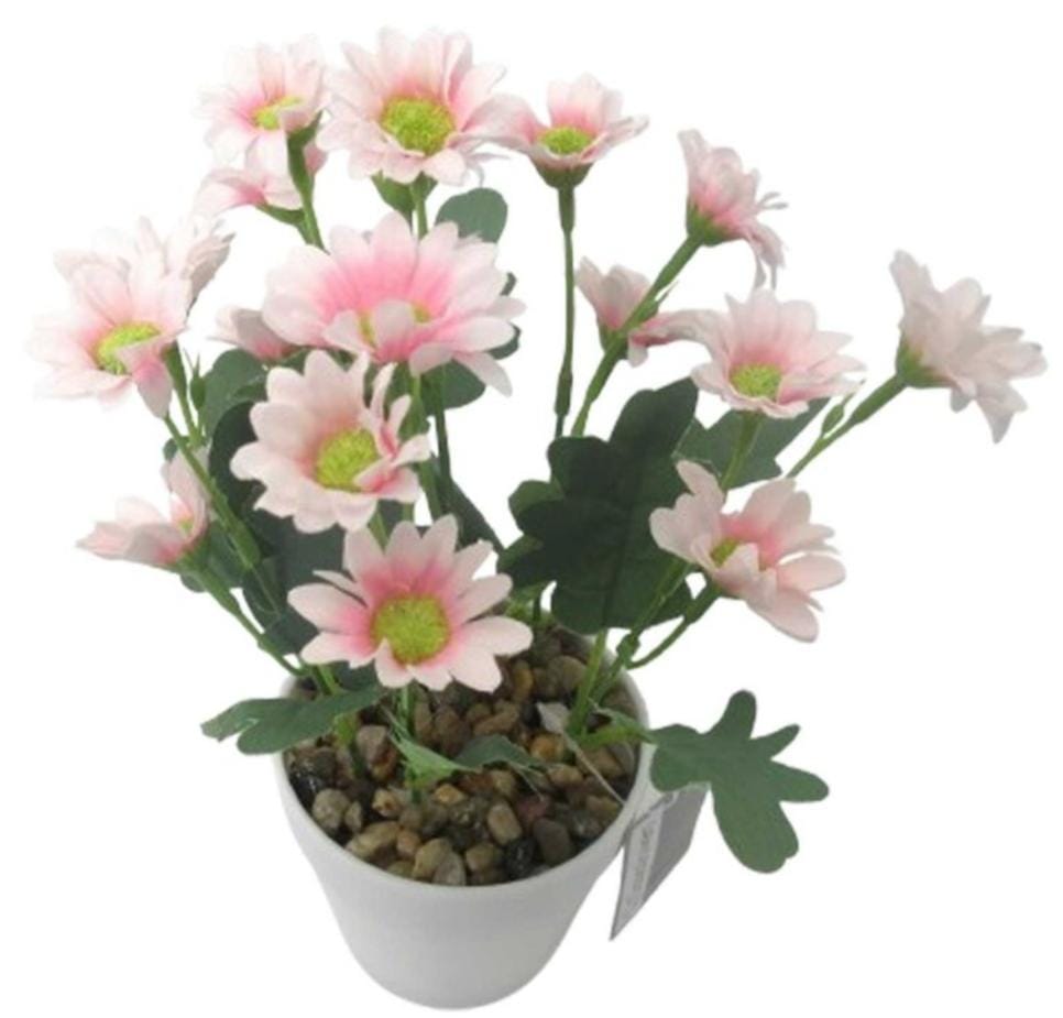 FLORES1