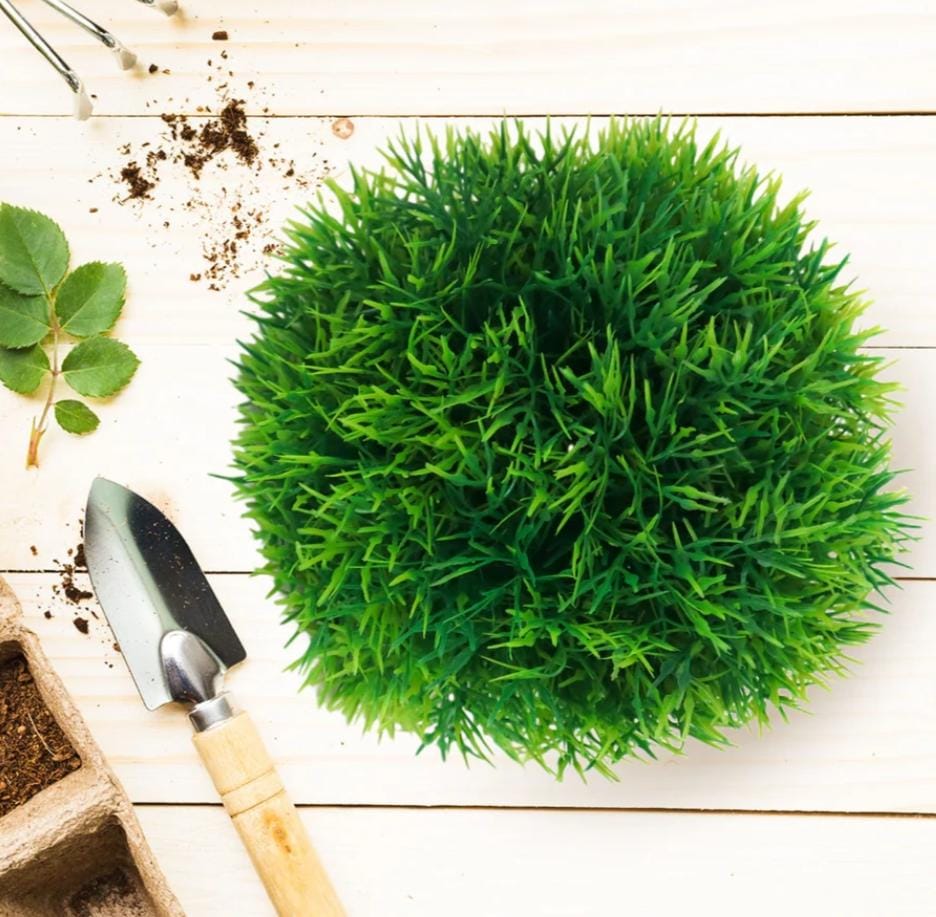 BOLA PLANTA VERDE1
