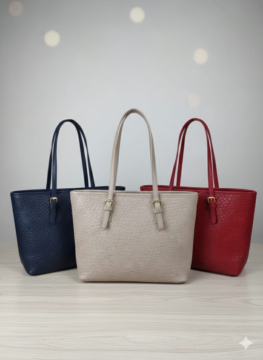CARTERA DAMA1