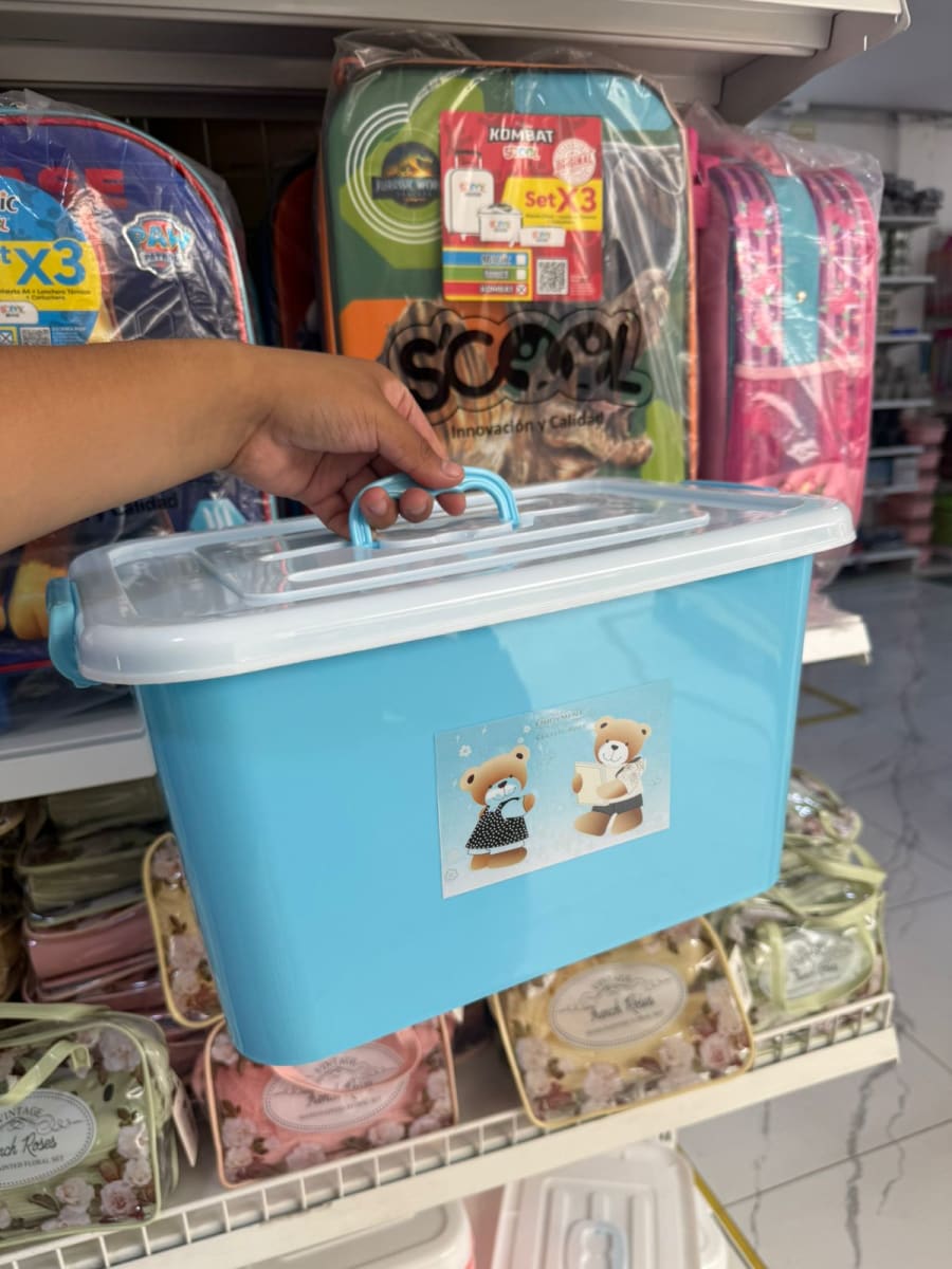 ORGANIZADOR PASTEL GRANDE1