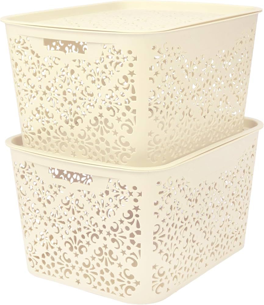 CESTA CON TAPA1