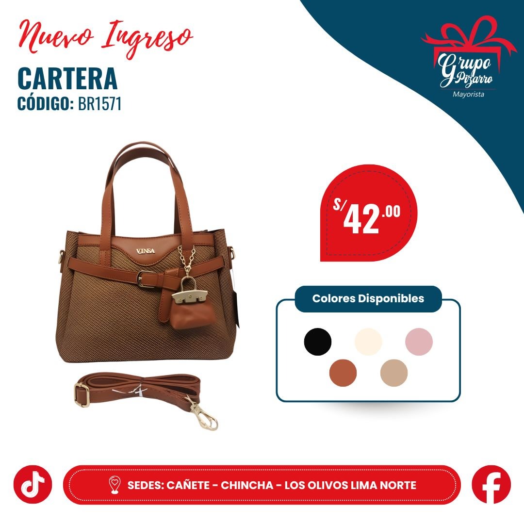 CARTERA DE MANO1