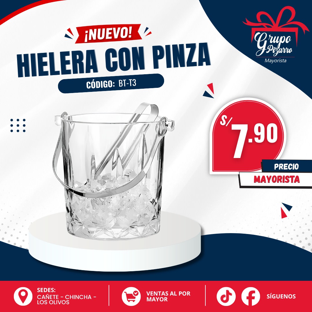 HIELERA BT-T31
