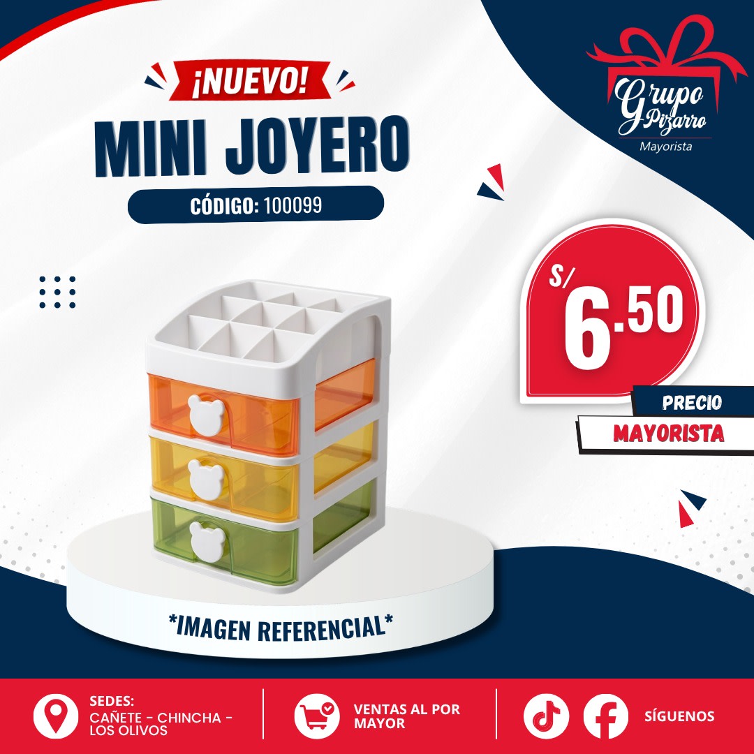 MINI ORGANIZADOR MIKEY1