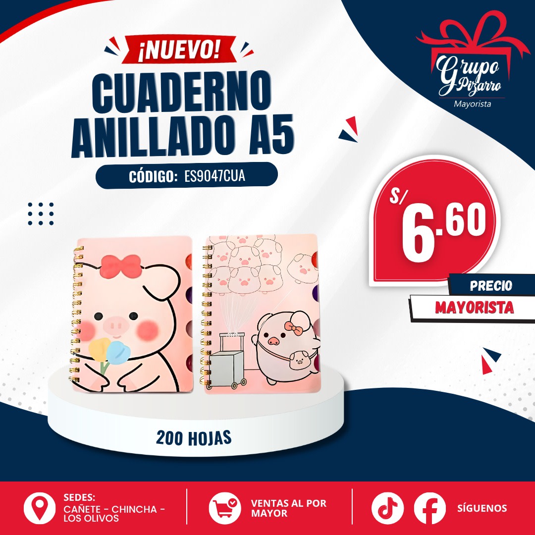 CUADERNO A5 PIG1
