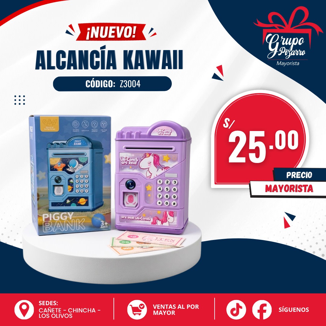 ALCANCIA Z30041