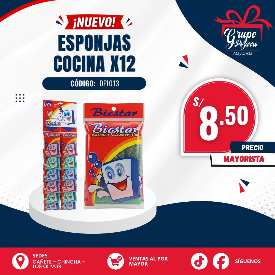 ESPONJA BLISTER1