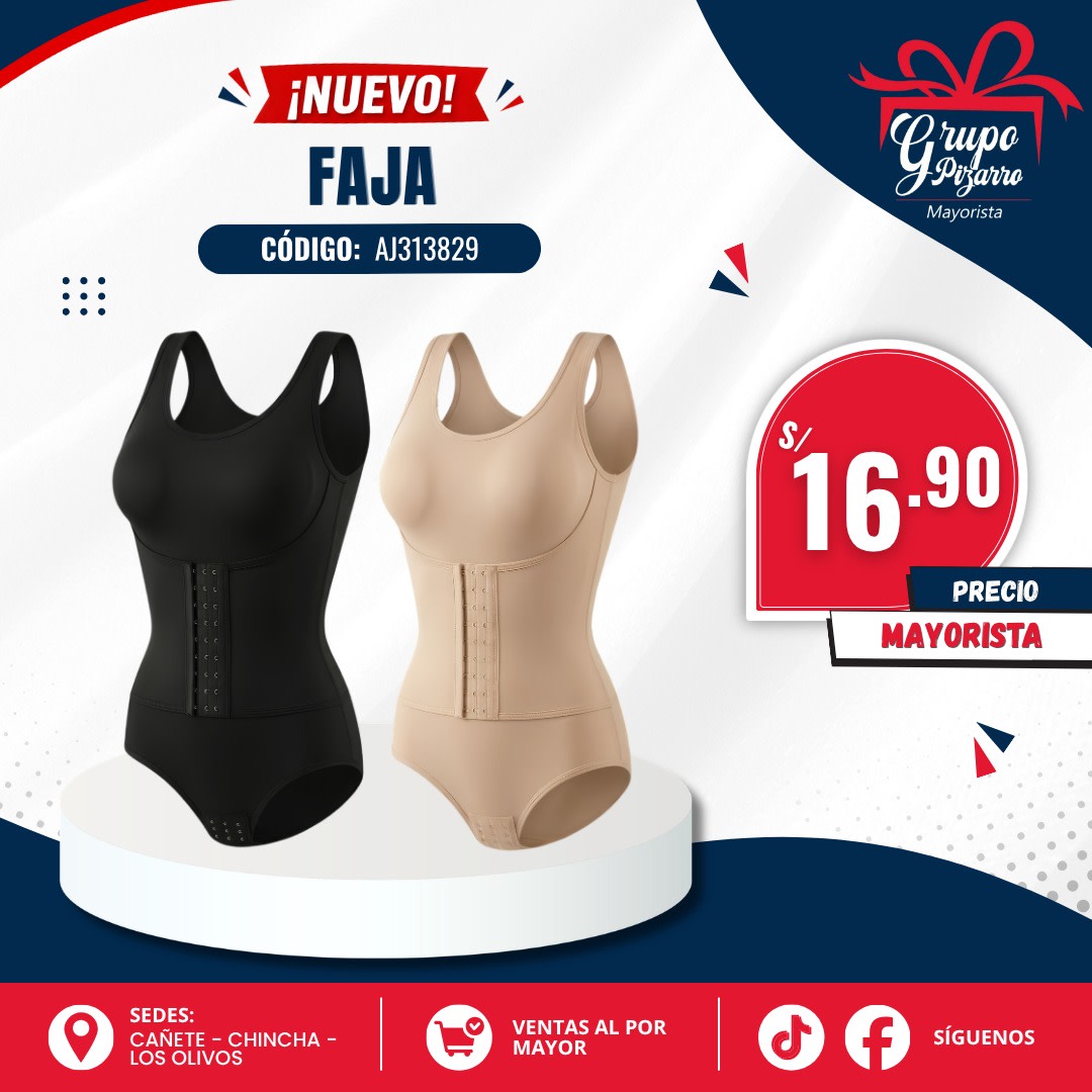 FAJA 291