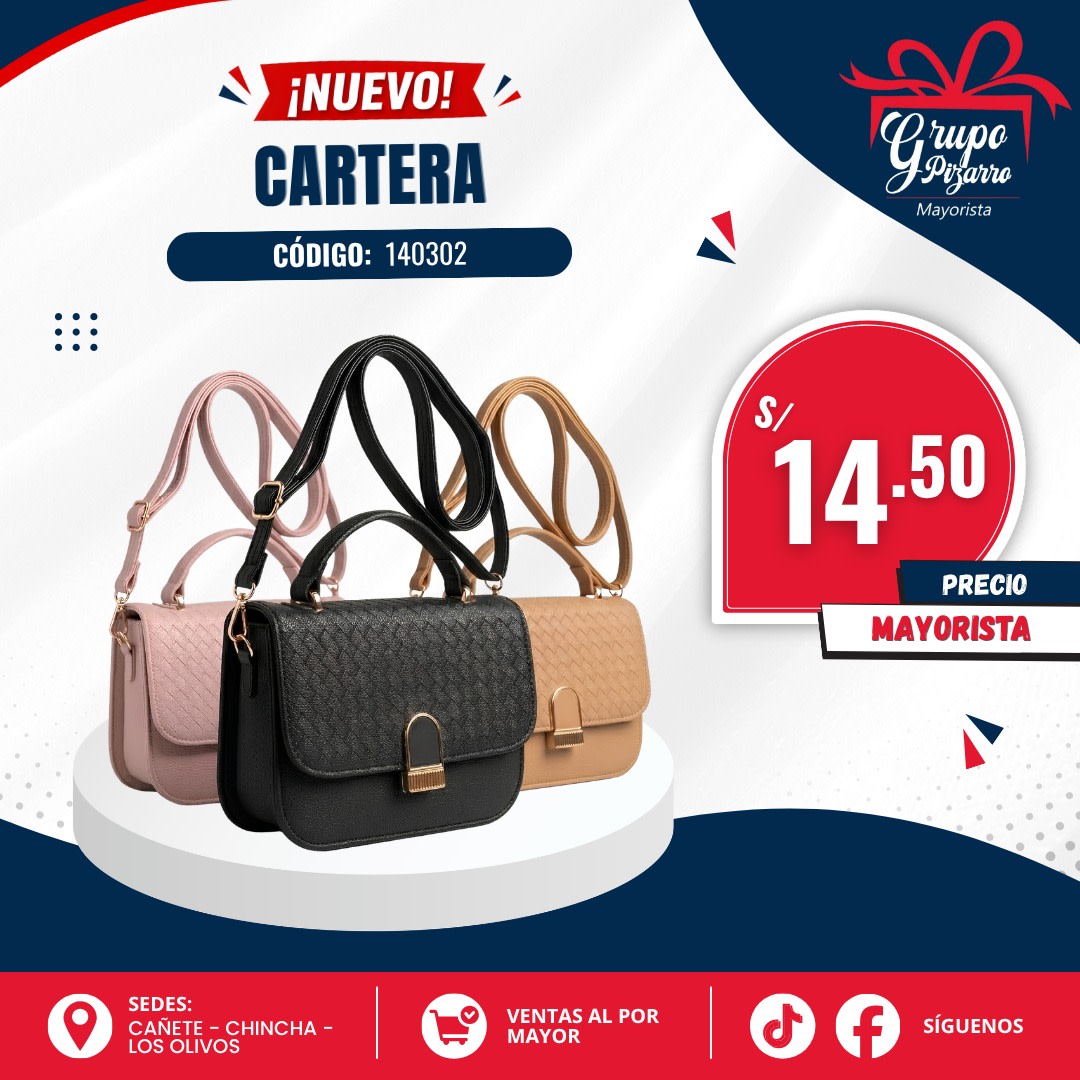 CARTERA ELEGANTE1