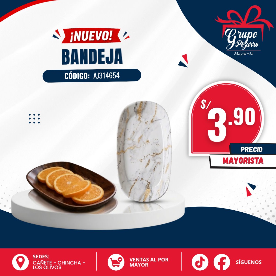 BANDEJA  AJ3146541