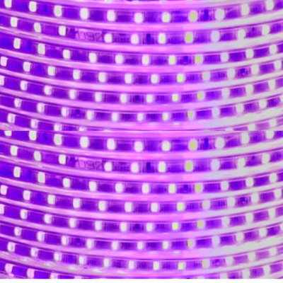 CINTA LED ROSADO CON ADHESIVO (CORTE CADA 10CM)1