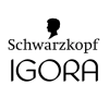 IGORA ROYAL