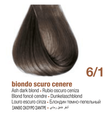 TINTURA INNOVA 6.1 BBCOS1