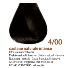 TINTE PARA  CABELLO 4.00 BBCOS