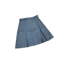 Falda escolar gris