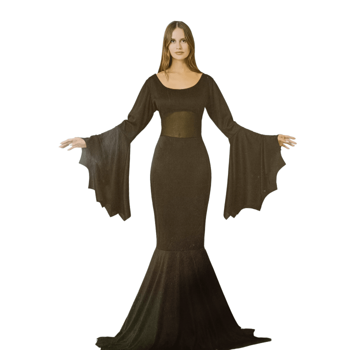 Disfraz Morticia Addams1