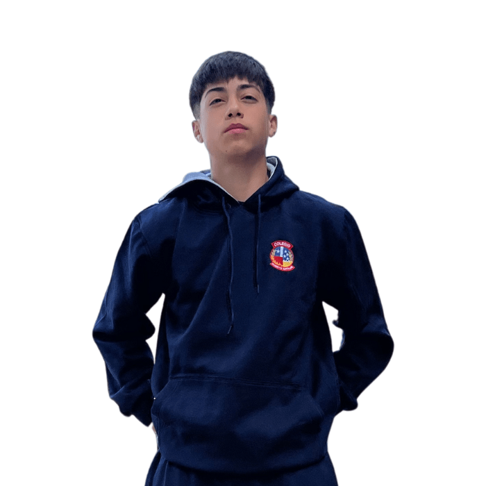 Poleron buzo Colegio Natales2