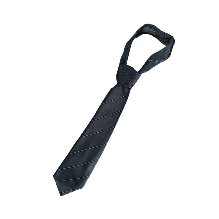 Corbata Liceo Maria Mazzarello1