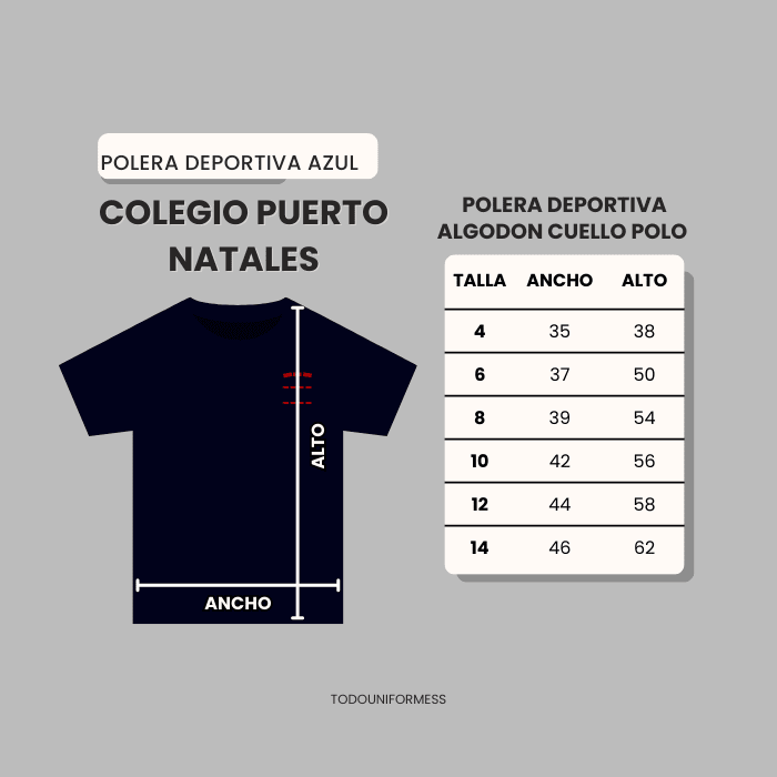 Polera azul Colegio Puerto Natales3