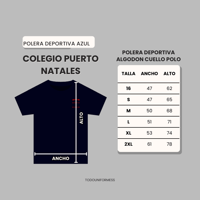 Polera azul Colegio Puerto Natales4