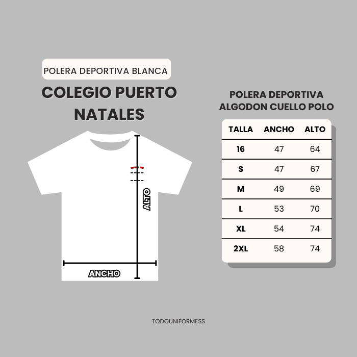 Polera blanca Colegio Puerto Natales5
